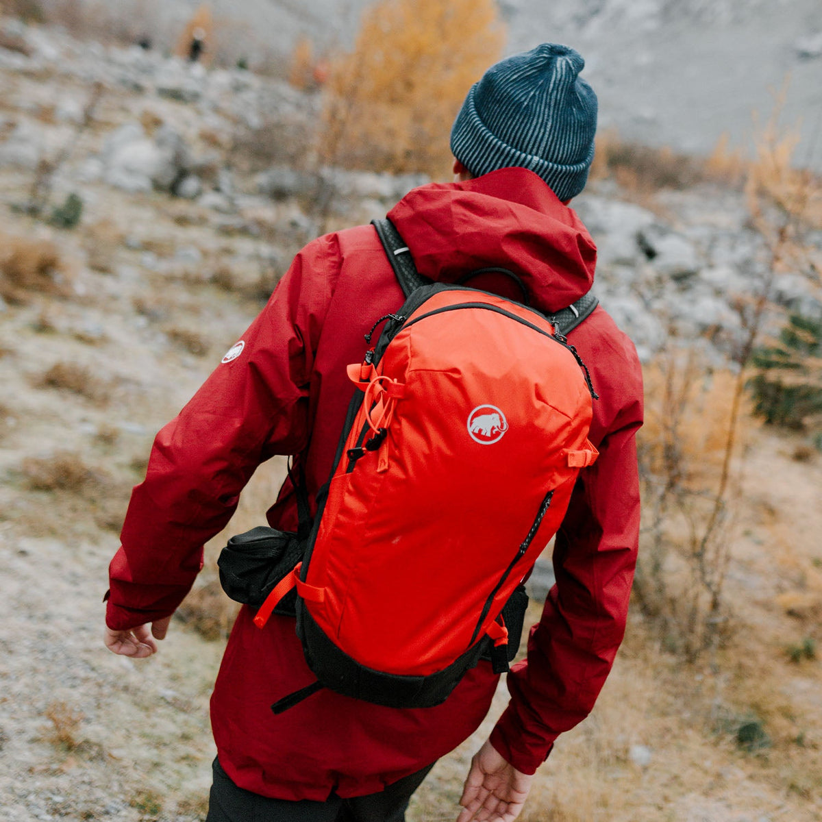 Mammut Backpacks