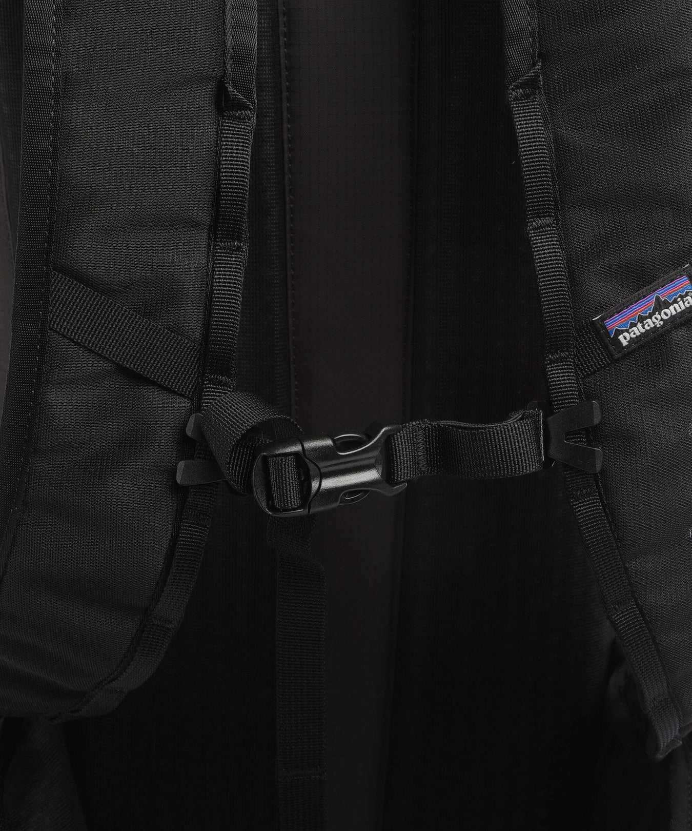 Patagonia Terravia 22 L Backpack black