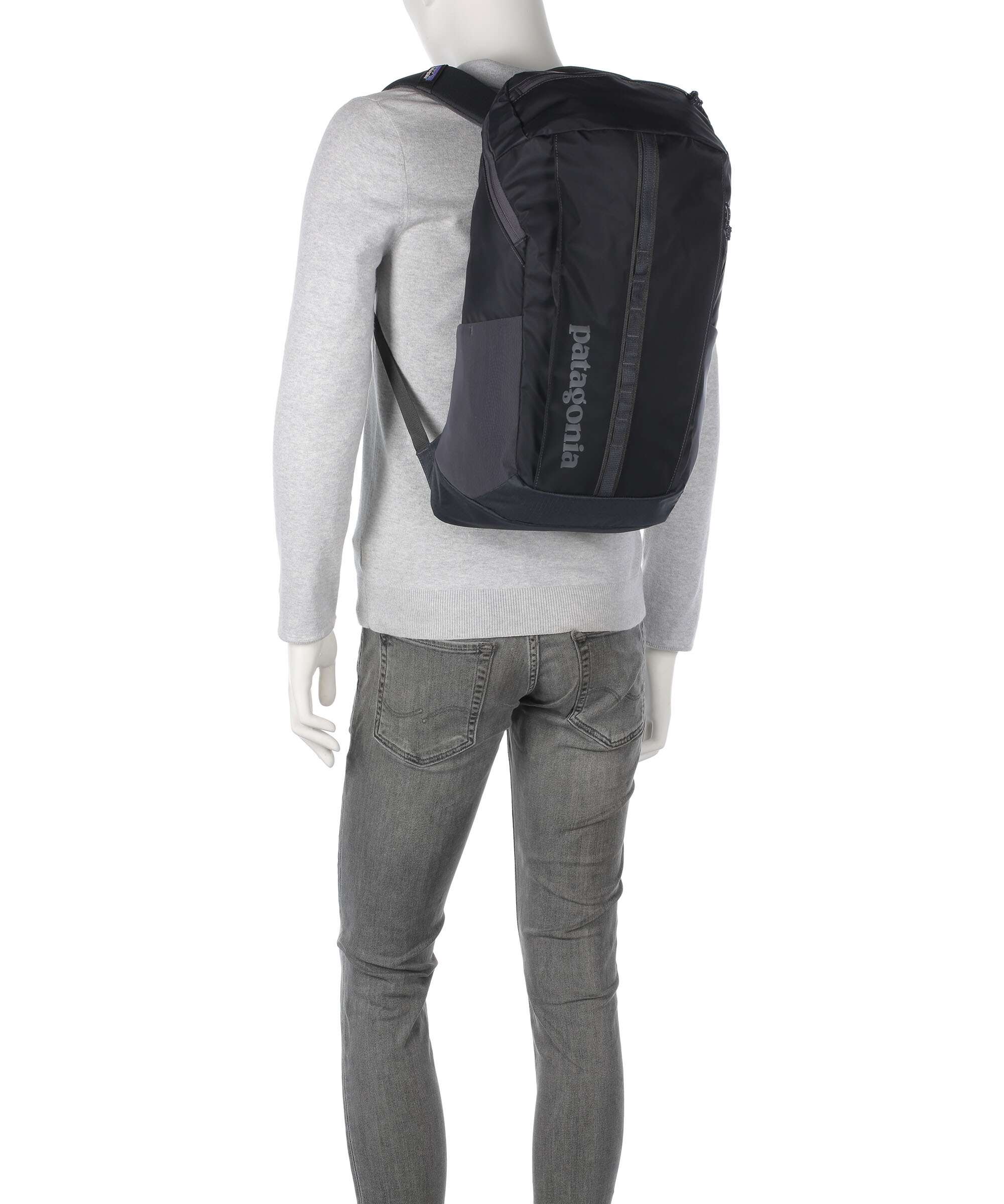 Patagonia Black Hole 25 Backpack cinnamon brown