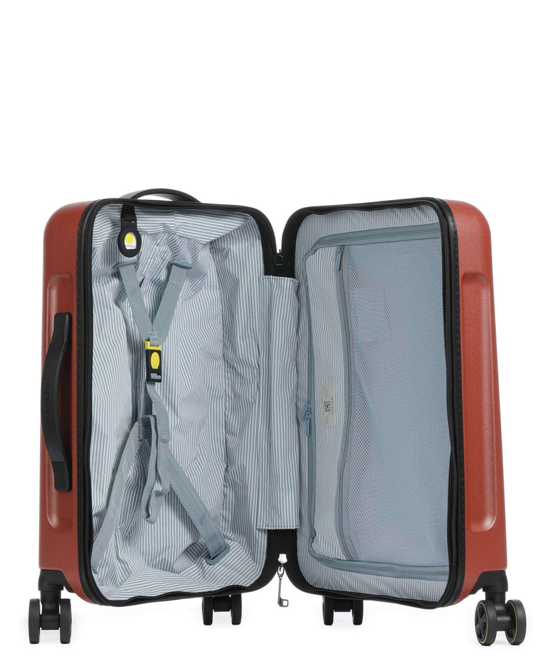 Delsey Paris Turenne 2.0 Spinner (4 wheels) backstein