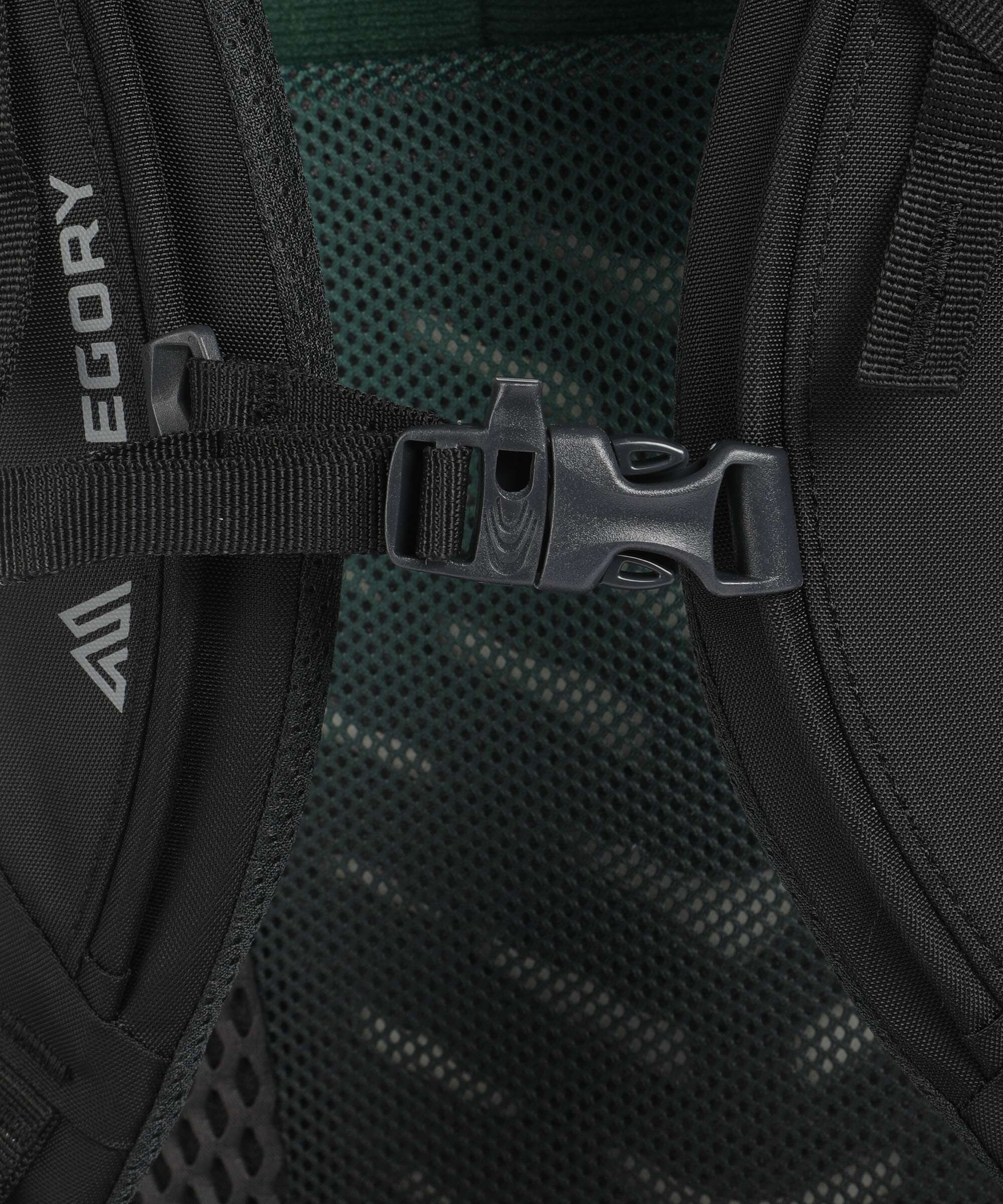 Gregory Stout 70 Trekking backpack forest black