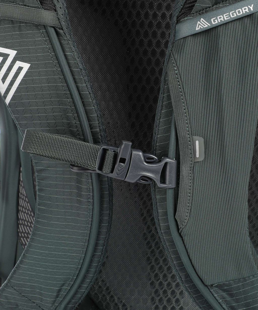 Gregory Paragon 50 MD/LG RC Hiking backpack cascade green