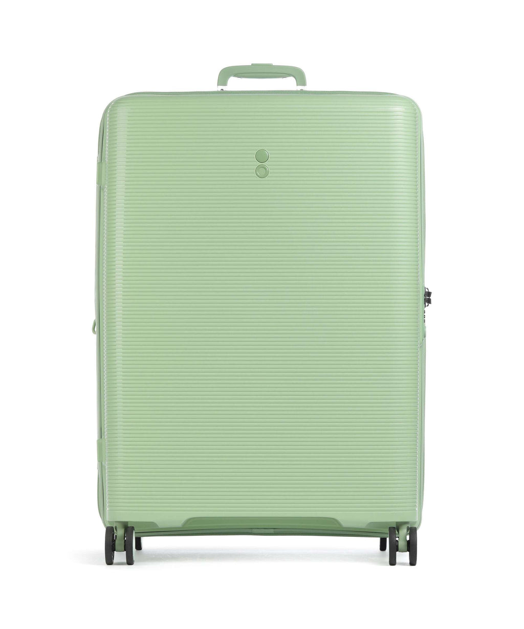 Echolac Forza L Spinner (4 wheels) reef green