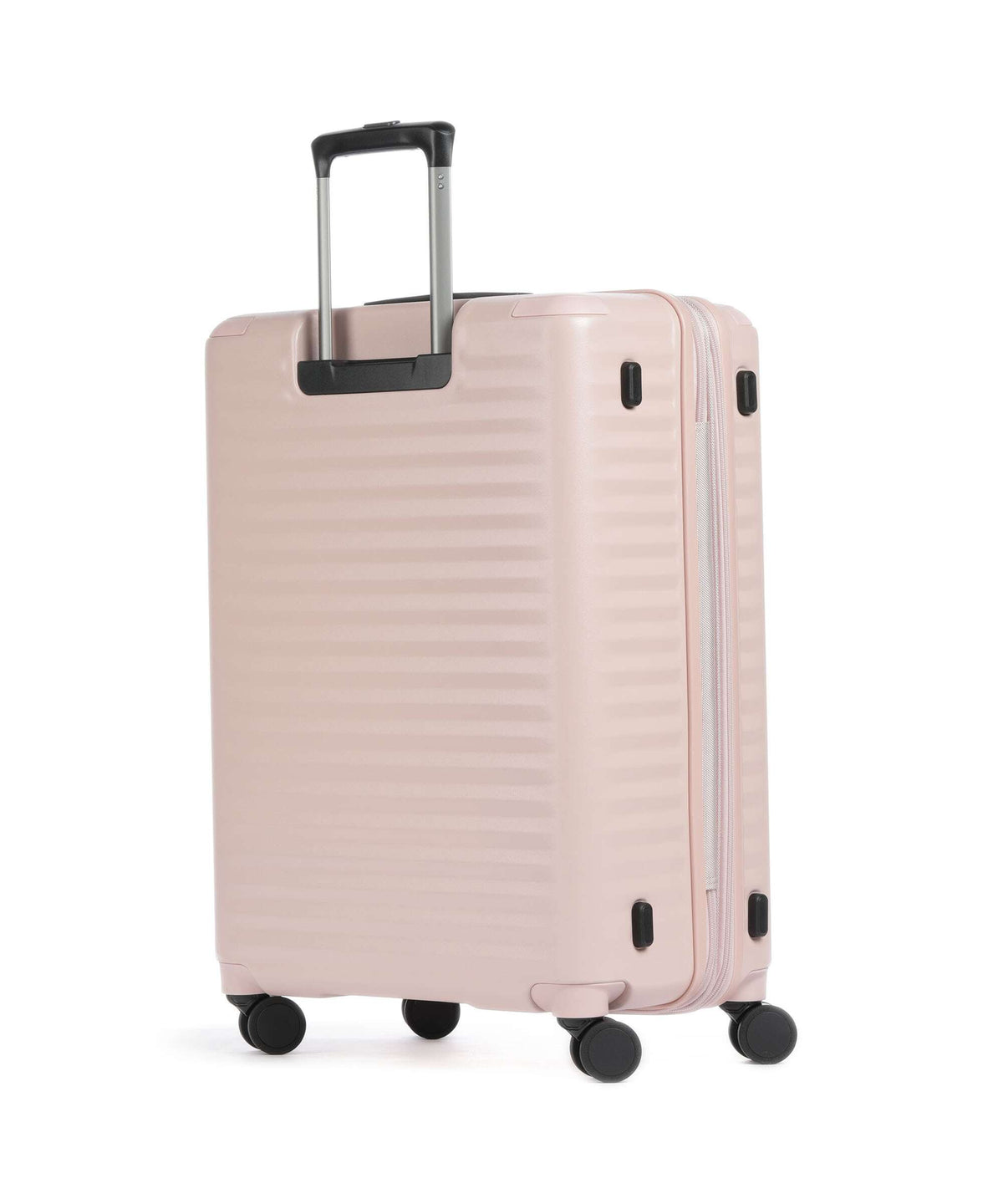 Echolac Celestra BLX M Spinner (4 wheels) pink