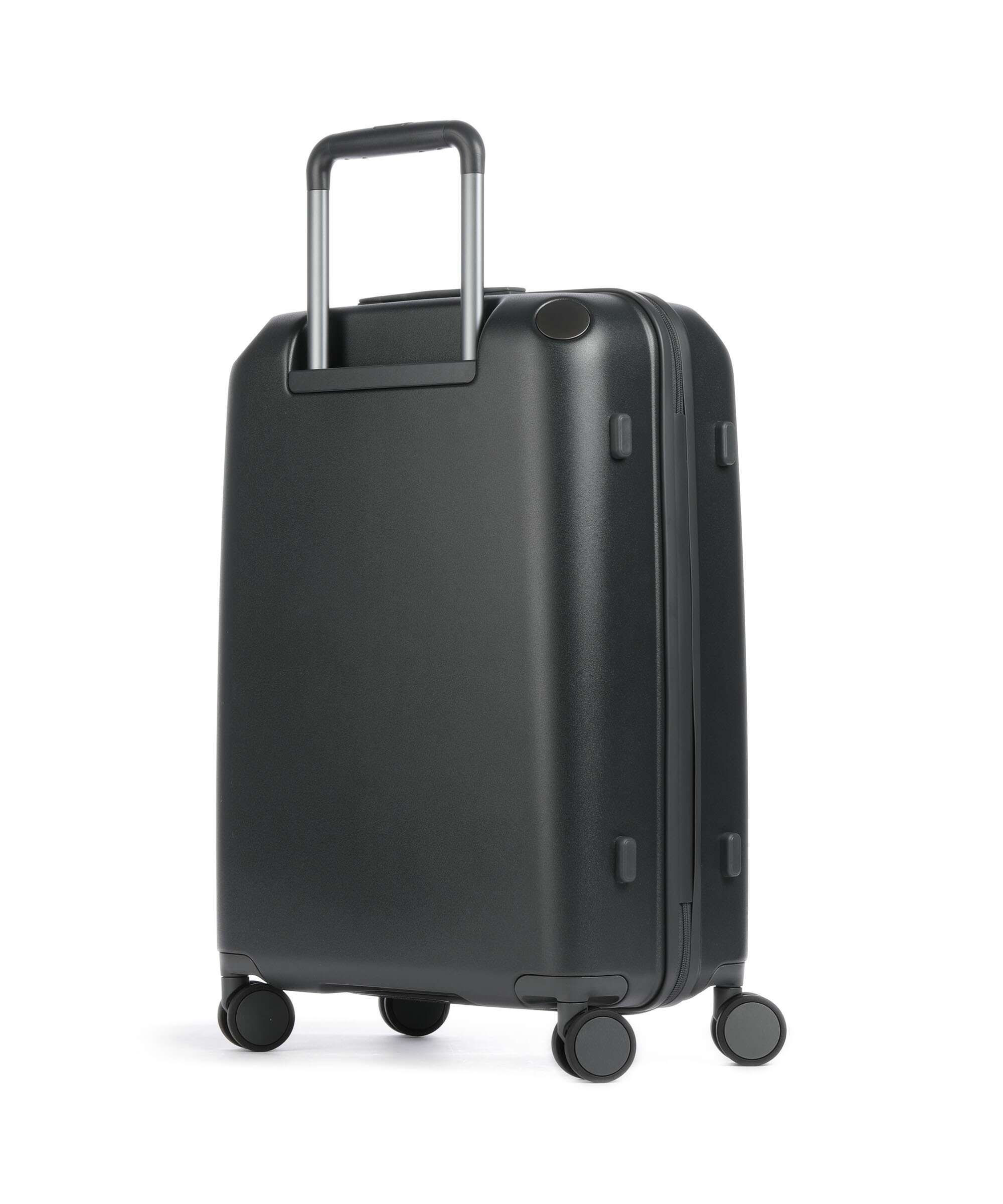 Echolac Panda M Spinner (4 wheels) anthracite/grey