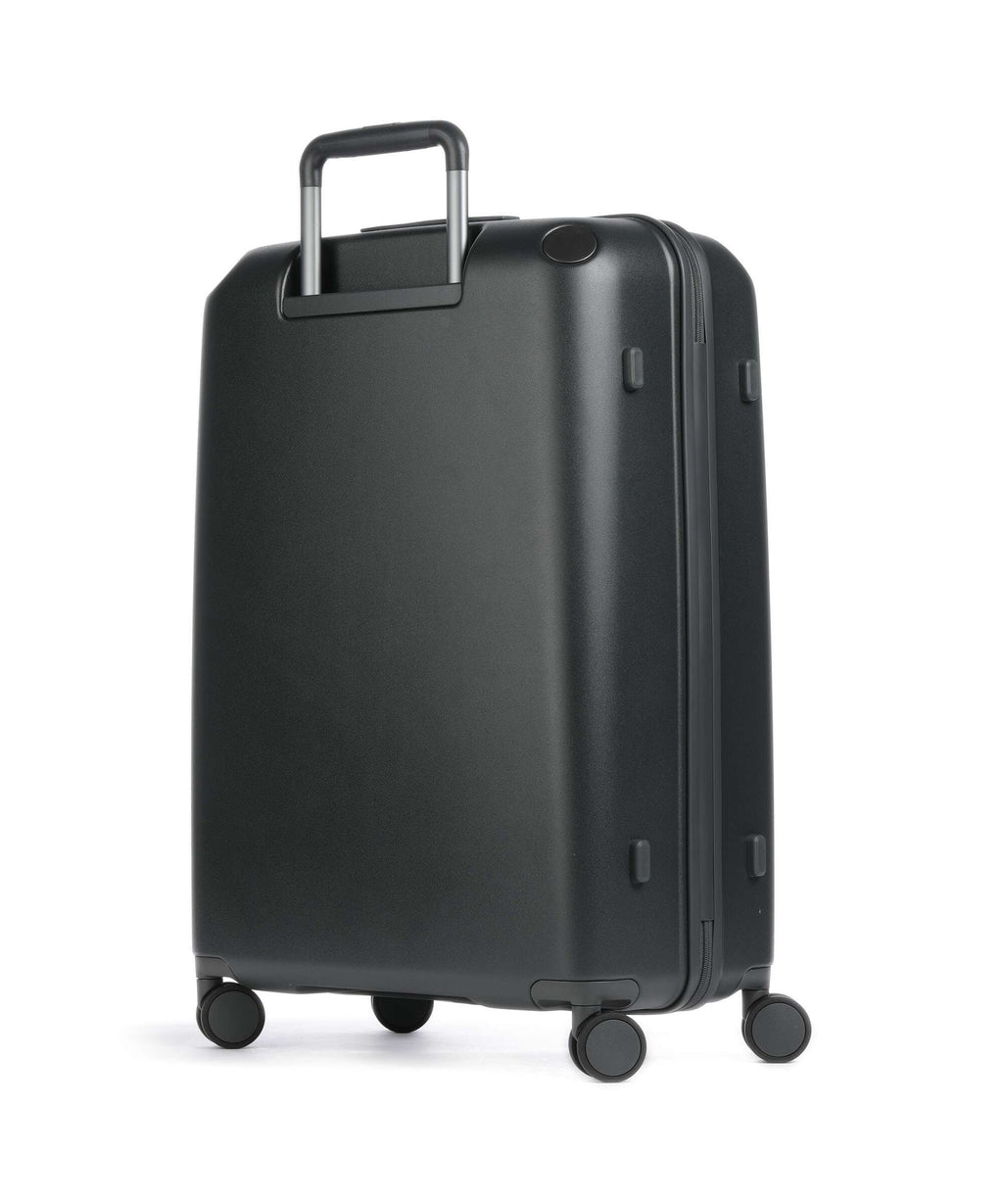 Echolac Panda L Spinner (4 wheels) anthracite/grey