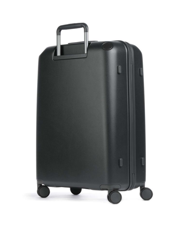 Echolac Panda L Spinner (4 wheels) anthracite/grey