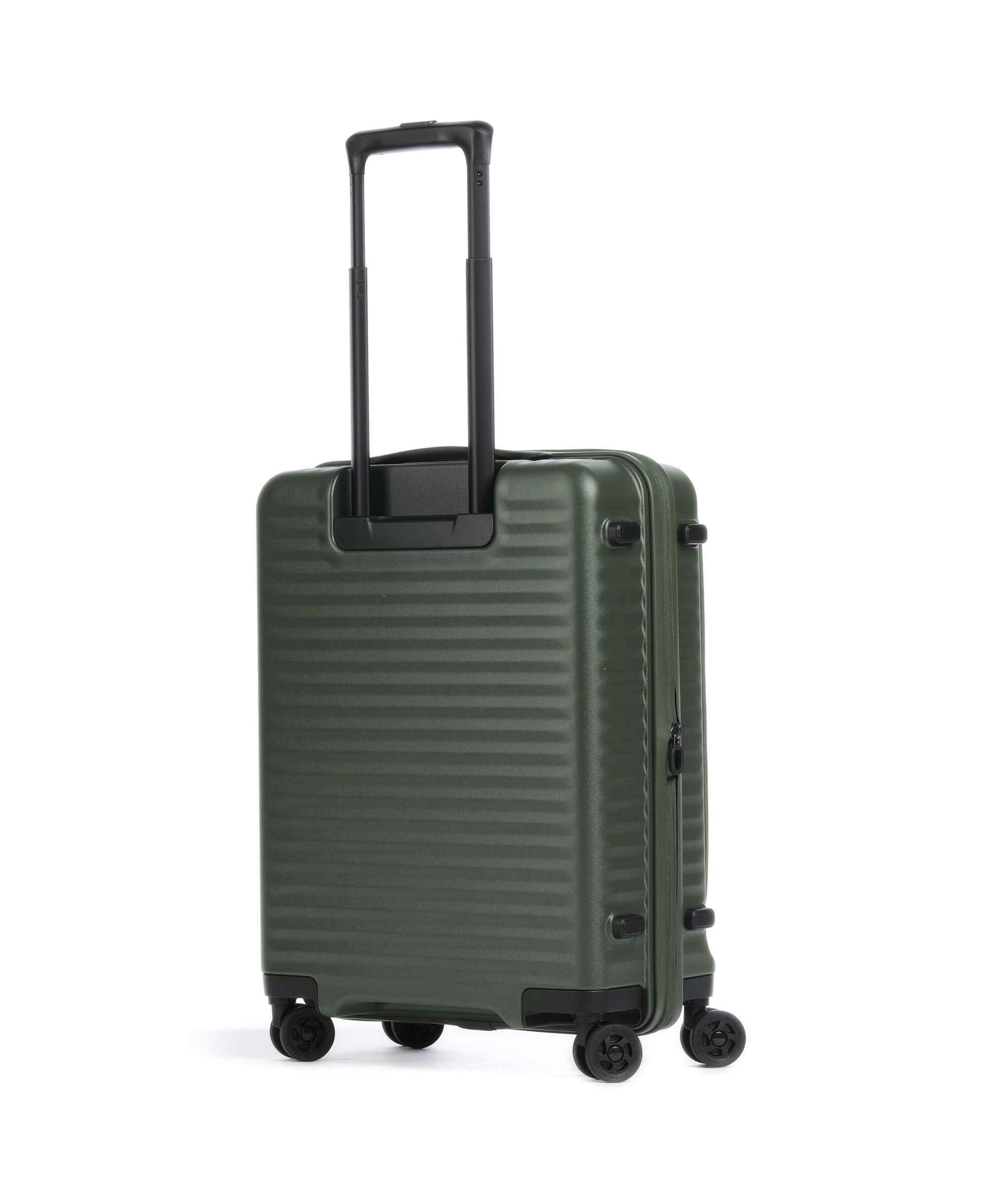 Echolac Celestra FA S Spinner (4 wheels) moss green
