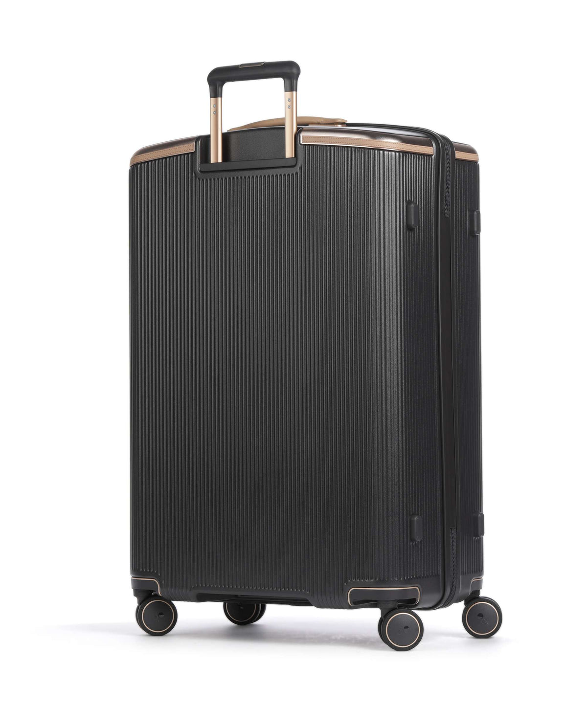 Echolac Dynasty VLX L Spinner (4 wheels) dark chocolate
