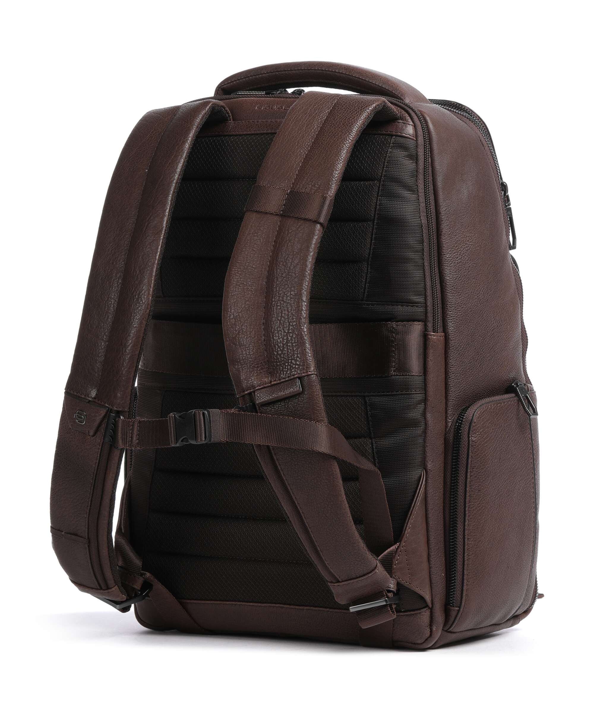 Piquadro Wollem Backpack testa moro