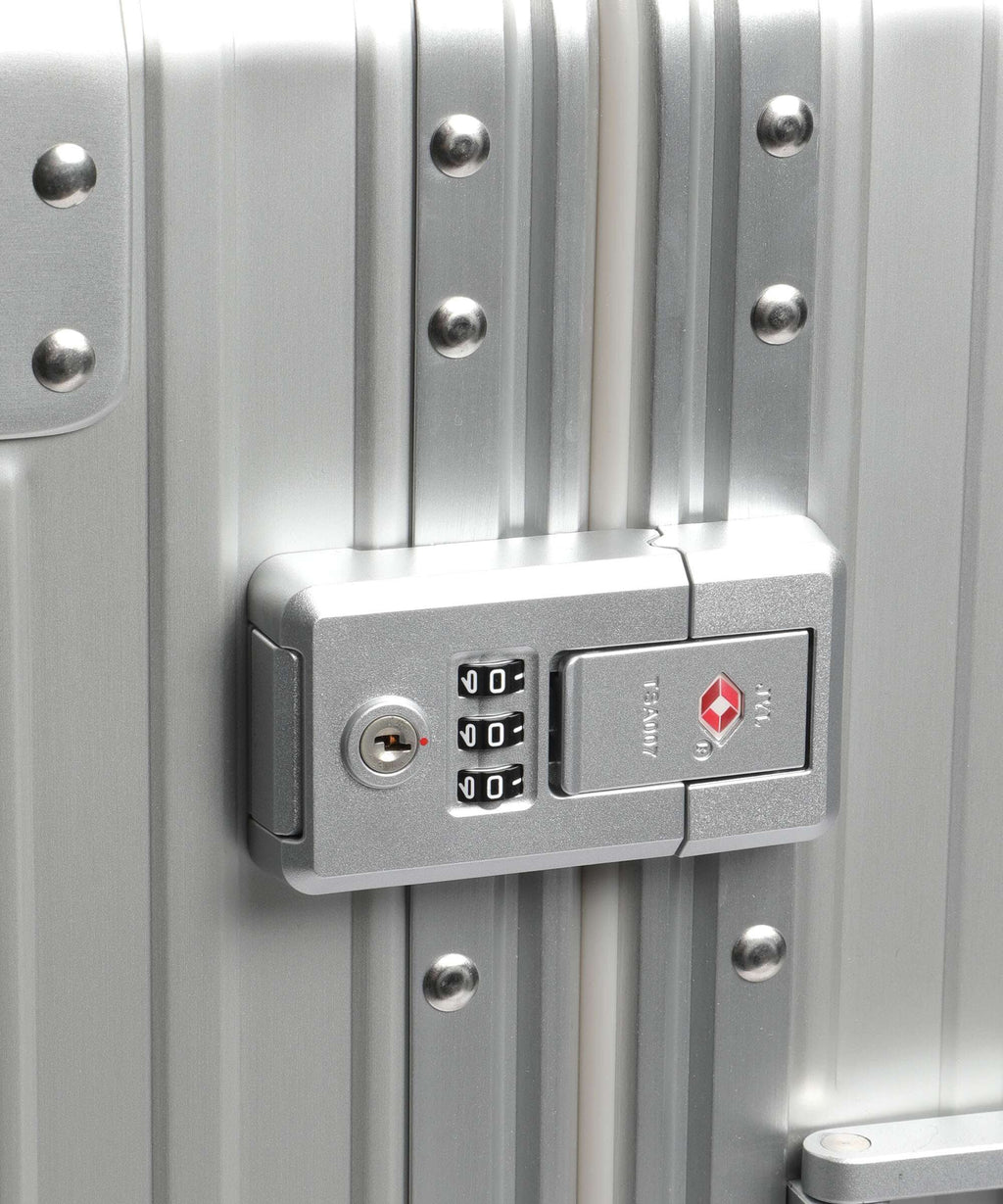 Aleon Classic 21 International front flap Spinner (4 wheels) platinum