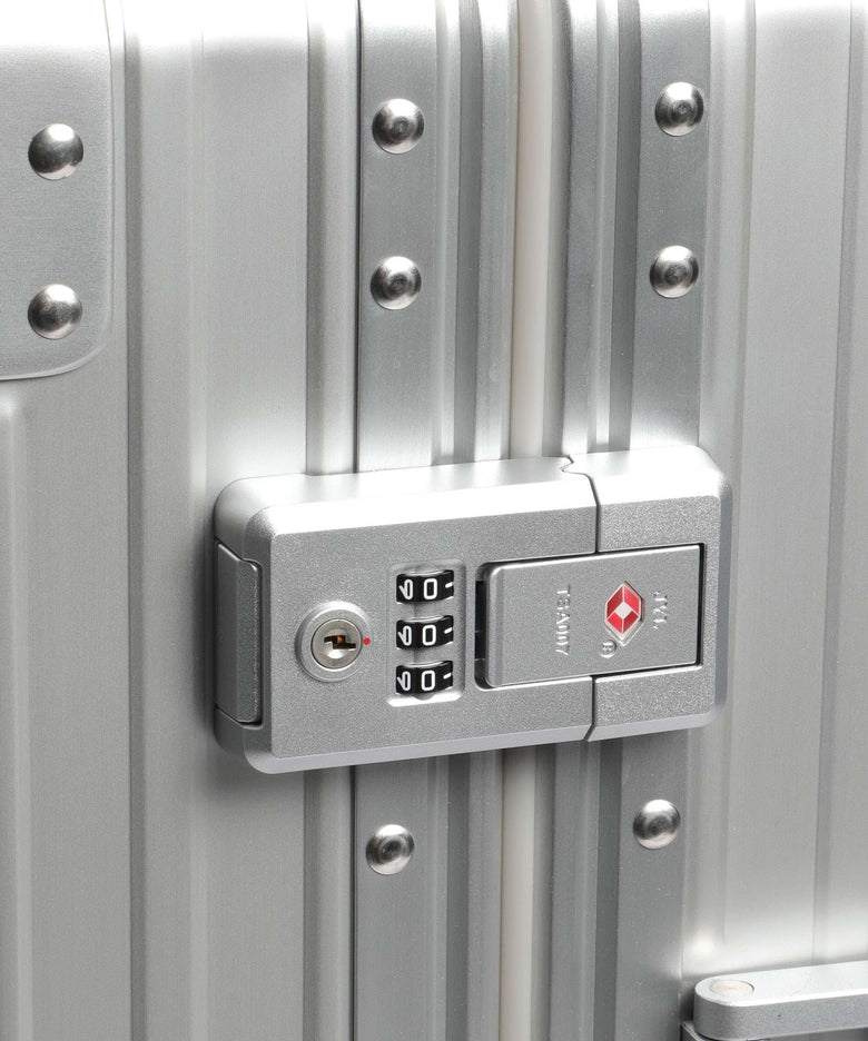 Aleon Classic 21 International front flap Spinner (4 wheels) platinum