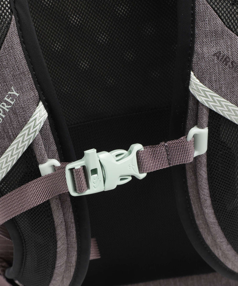 Osprey Nebula Laptop backpack graphite/purple heather