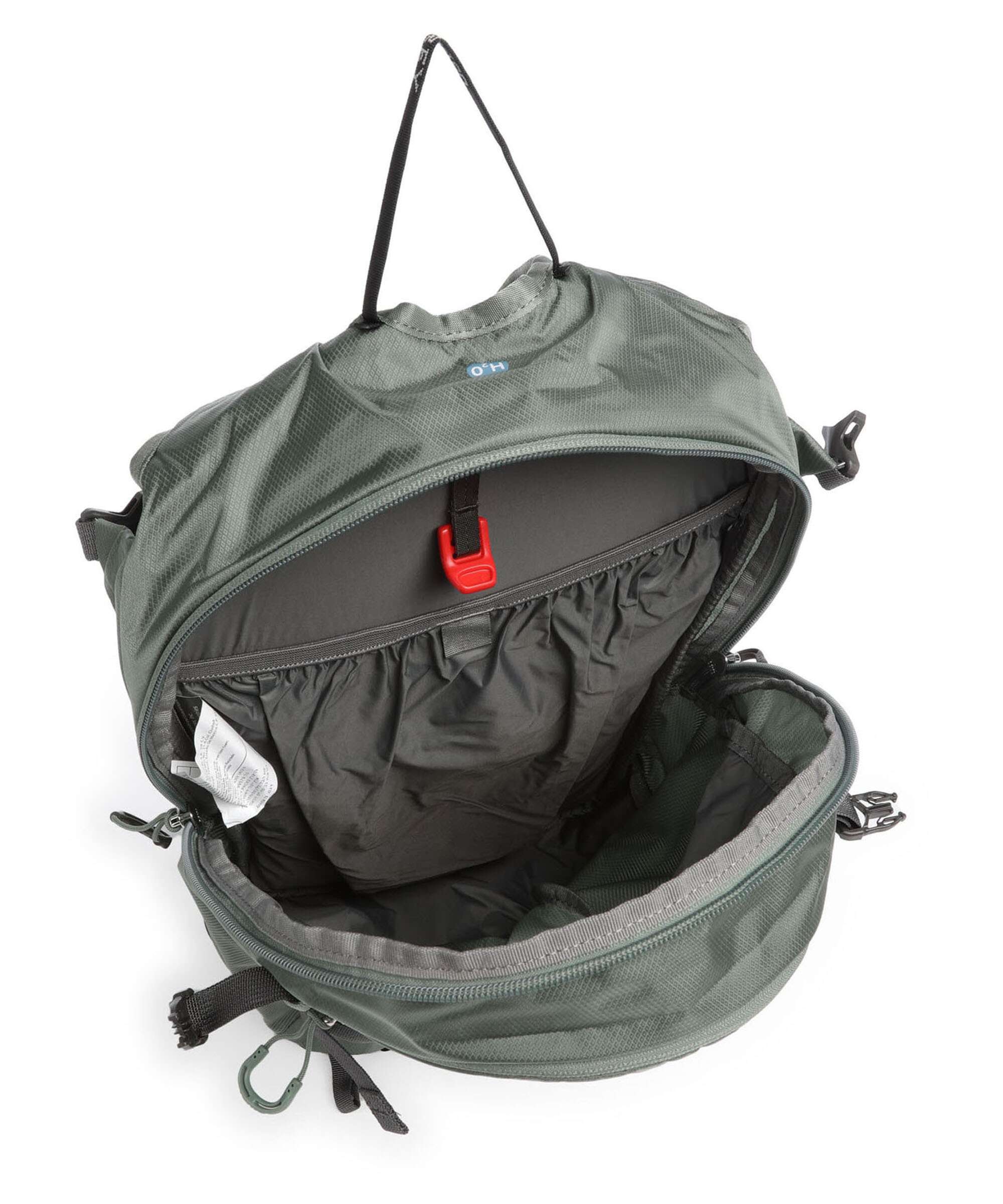 Osprey Sportlite 15 Hiking backpack pine leaf green