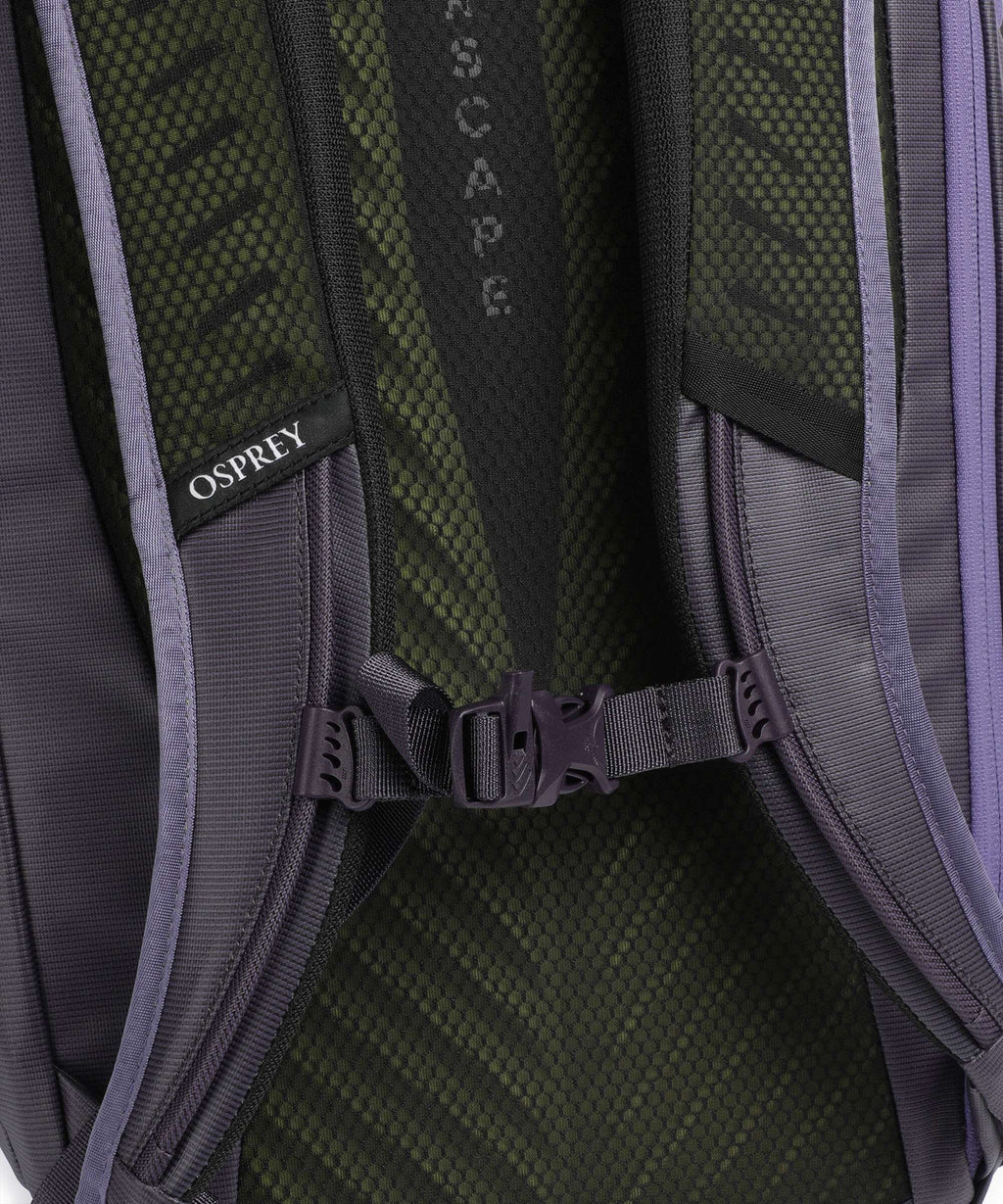Osprey Transporter Rolltop backpack euphoria purple/purple ink