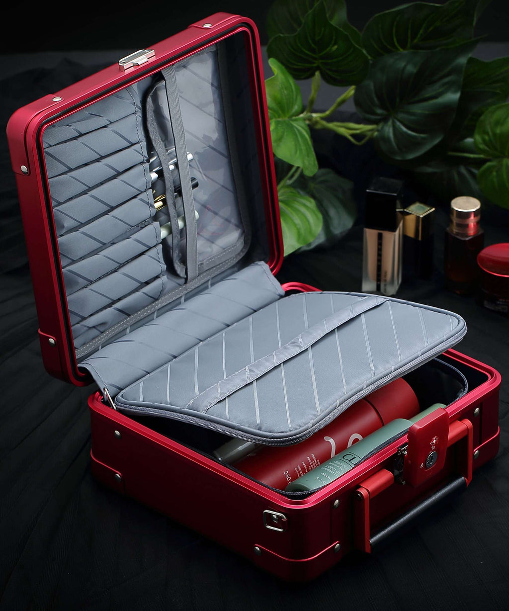 Aleon Classic 10 Diversity Beauty case platinum